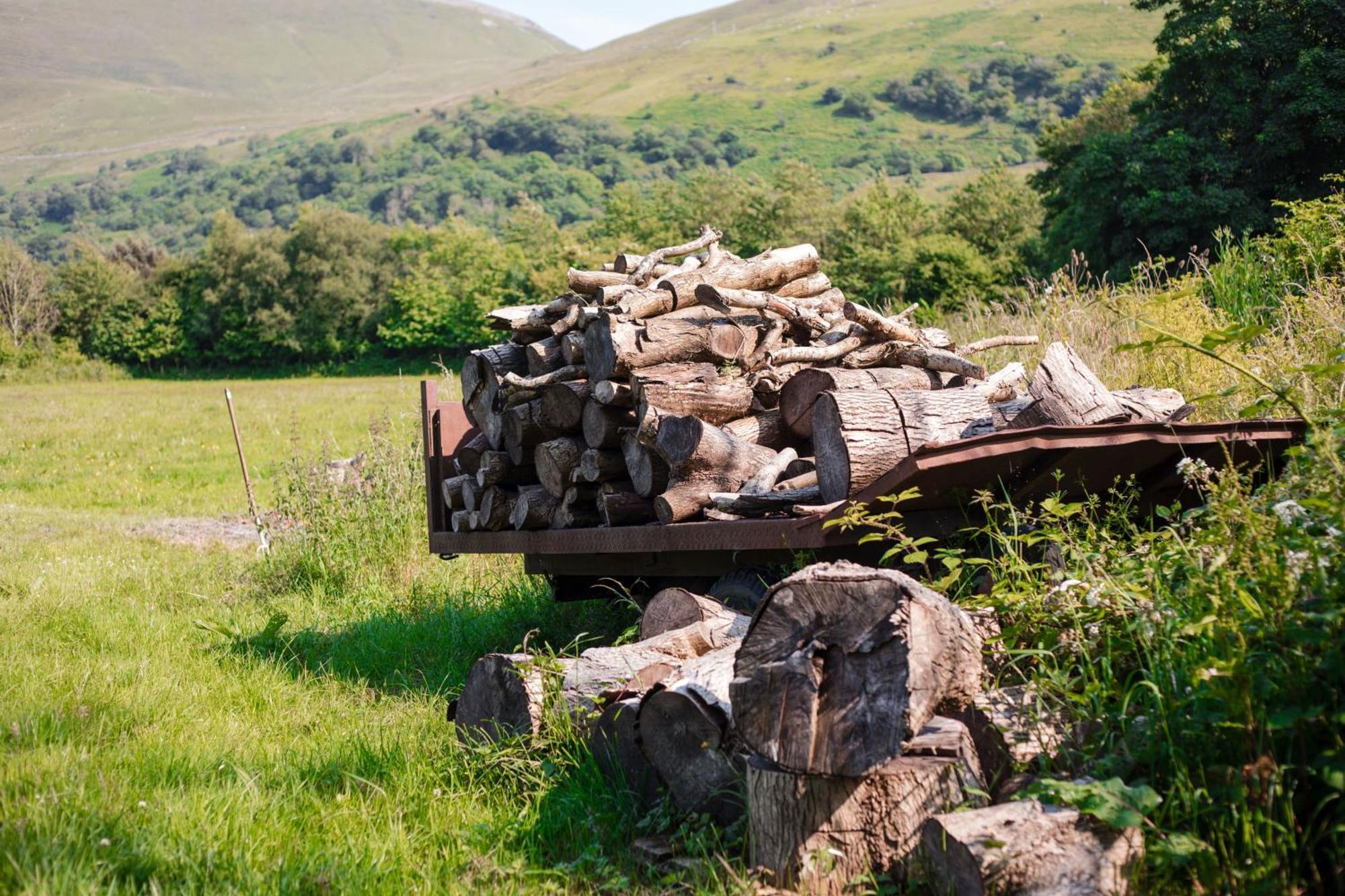 Trigonos - Quiet, Peaceful, Vegetarian B&B And Retreat Centre Nantlle 외부 사진