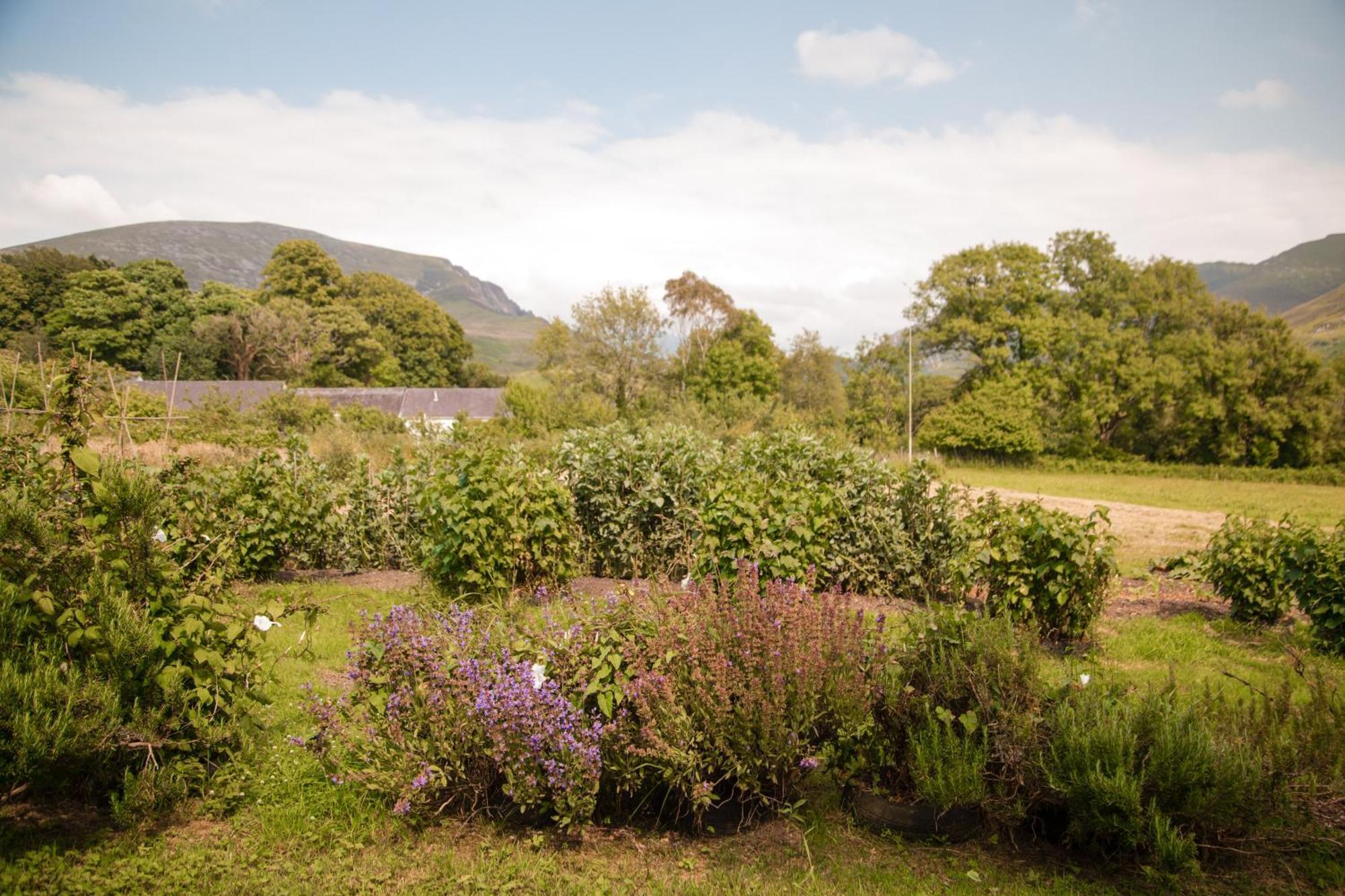 Trigonos - Quiet, Peaceful, Vegetarian B&B And Retreat Centre Nantlle 외부 사진