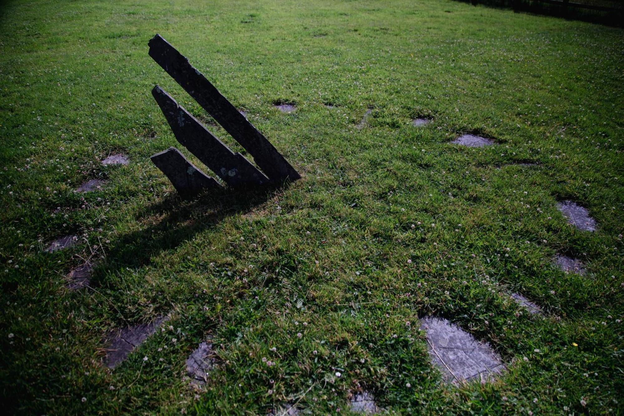 Trigonos - Quiet, Peaceful, Vegetarian B&B And Retreat Centre Nantlle 외부 사진