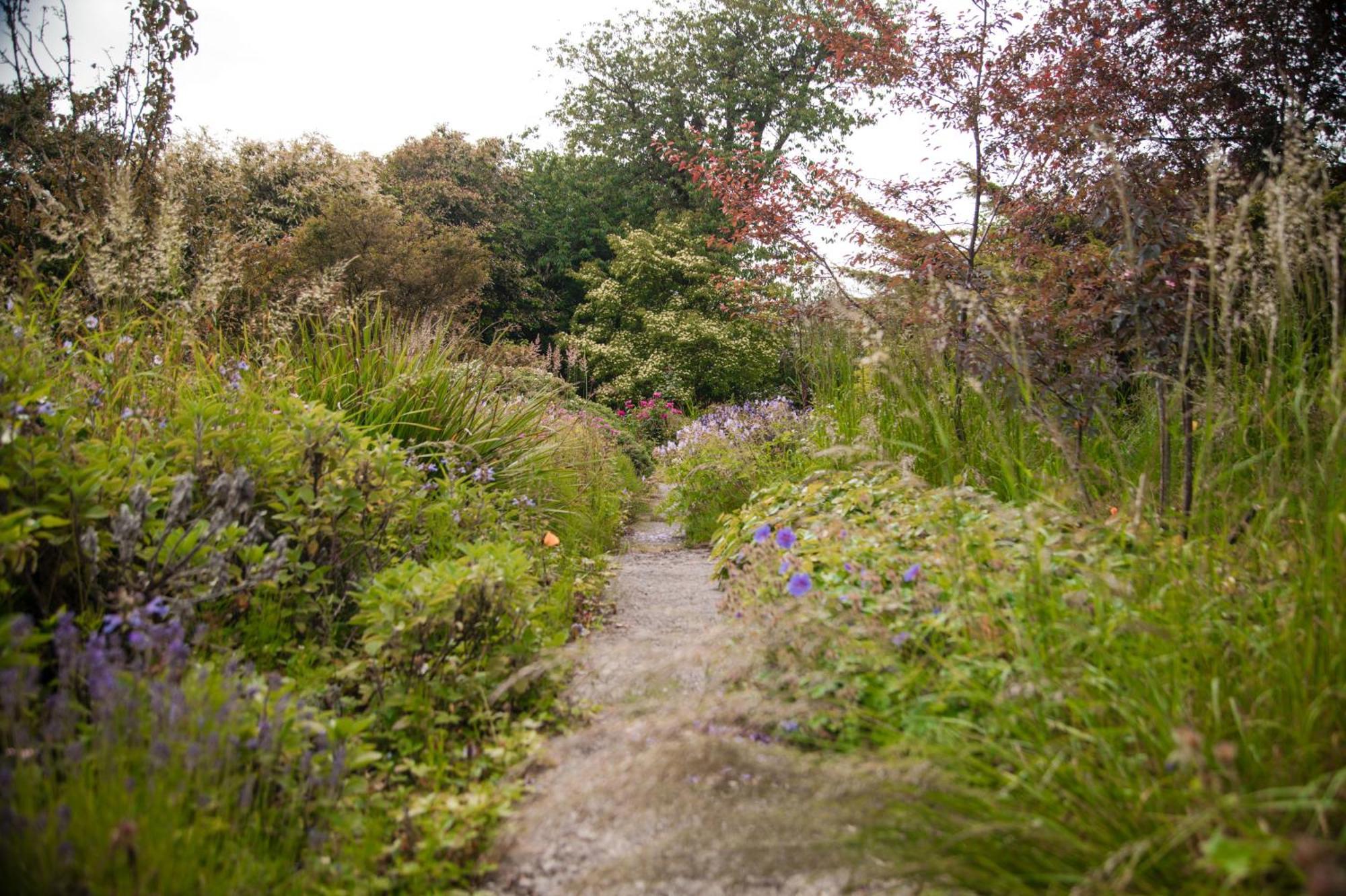 Trigonos - Quiet, Peaceful, Vegetarian B&B And Retreat Centre Nantlle 외부 사진