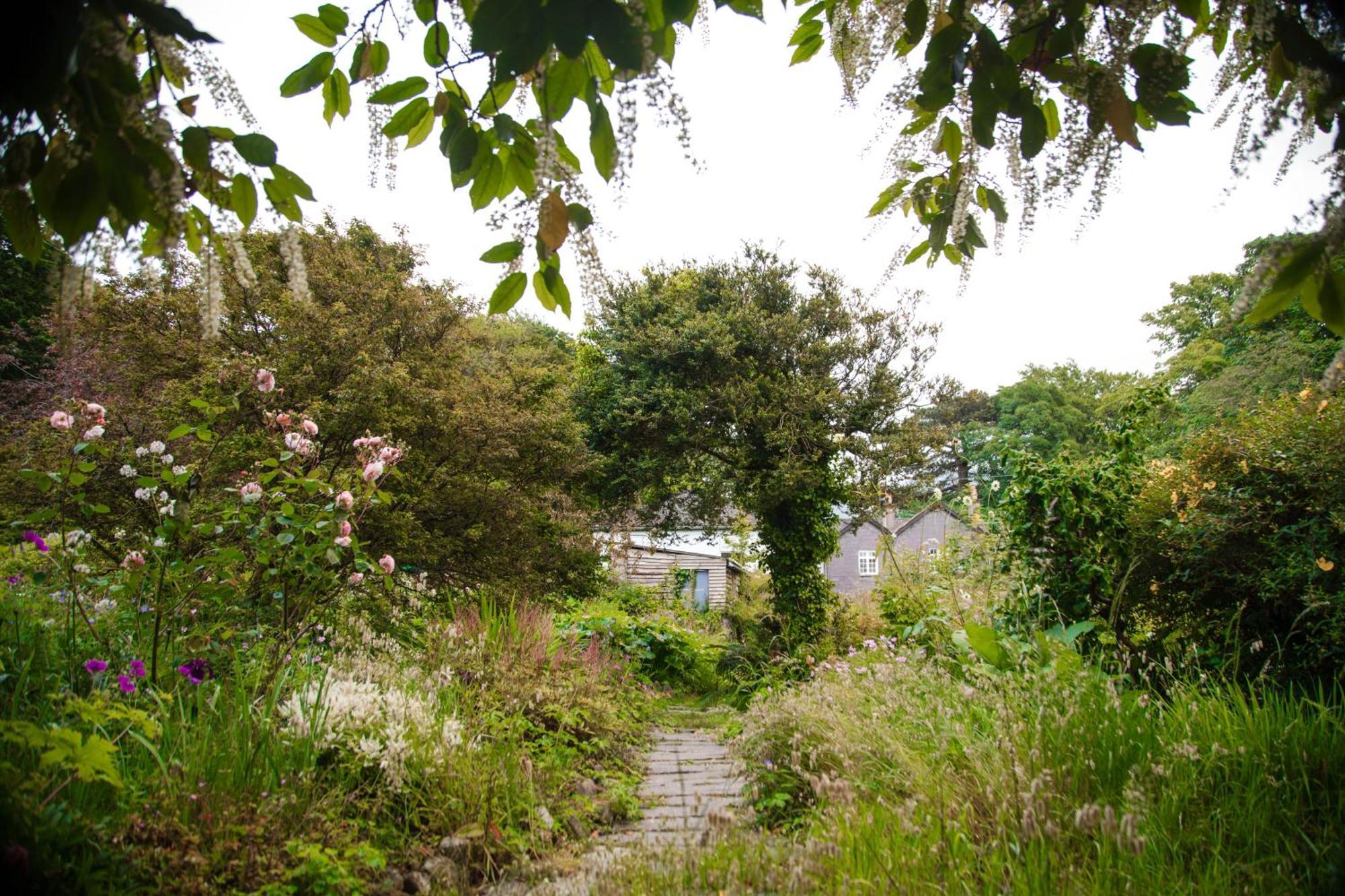 Trigonos - Quiet, Peaceful, Vegetarian B&B And Retreat Centre Nantlle 외부 사진