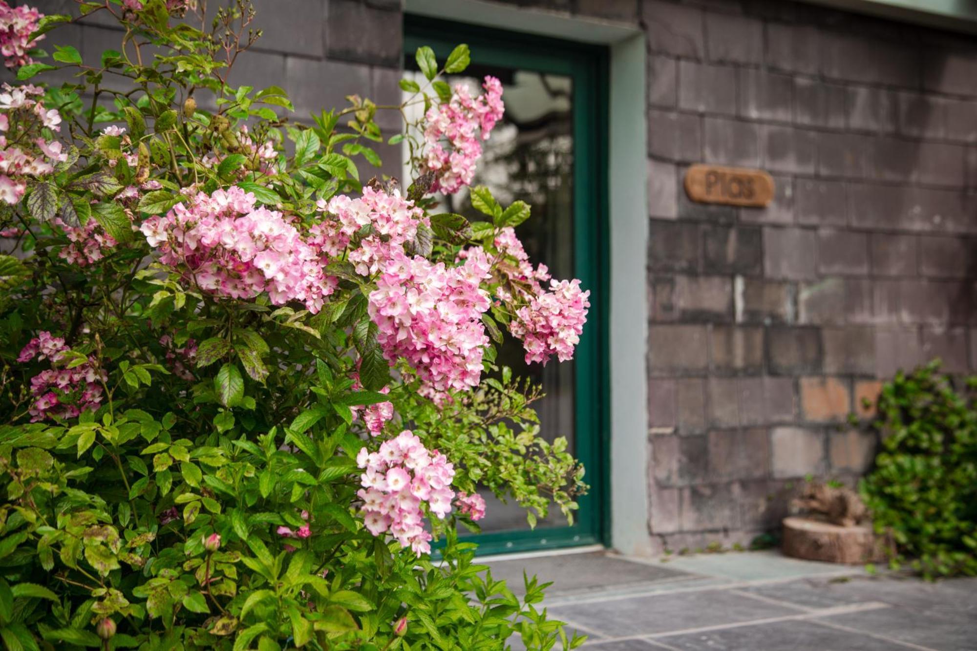 Trigonos - Quiet, Peaceful, Vegetarian B&B And Retreat Centre Nantlle 외부 사진