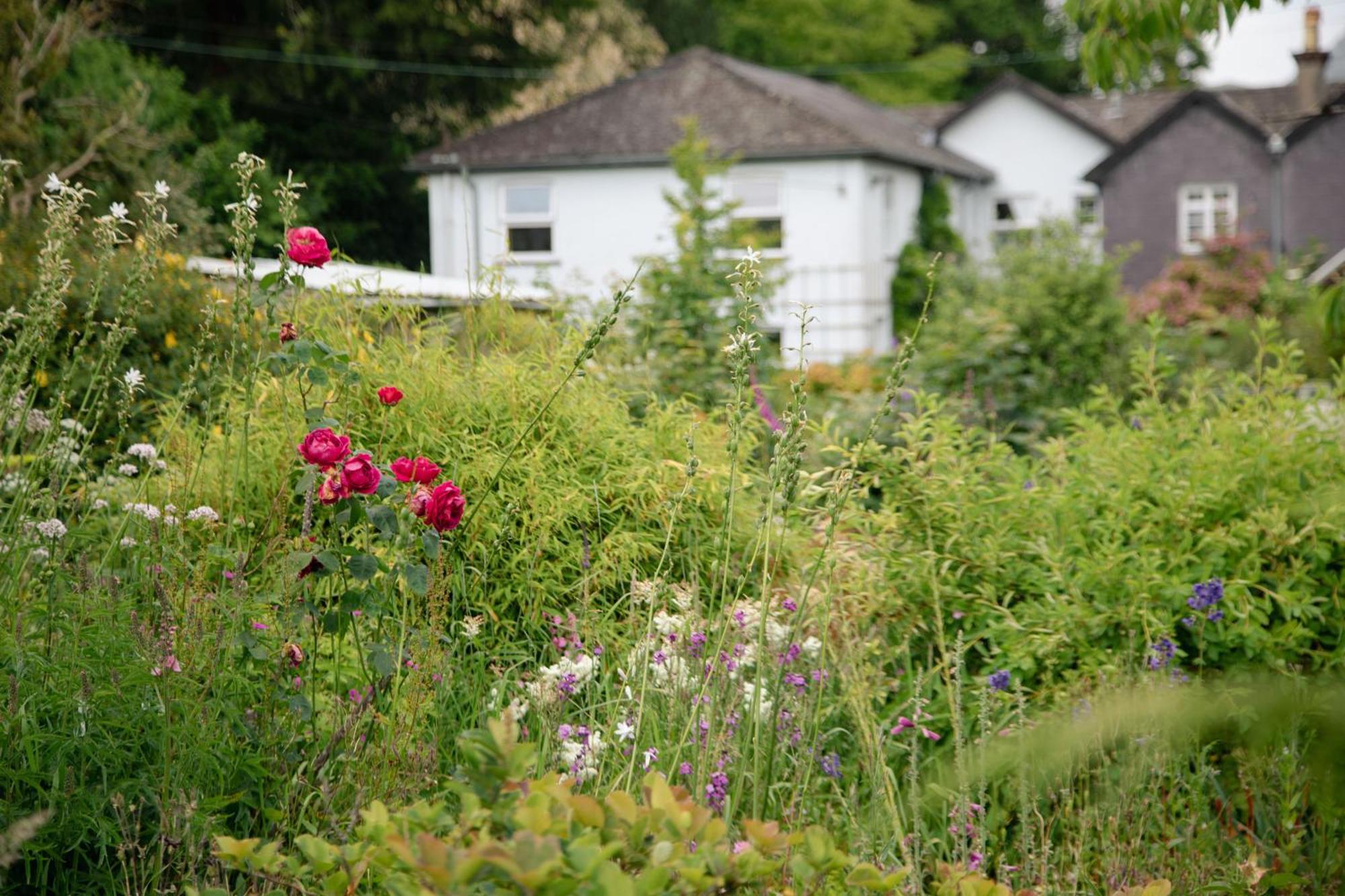 Trigonos - Quiet, Peaceful, Vegetarian B&B And Retreat Centre Nantlle 외부 사진