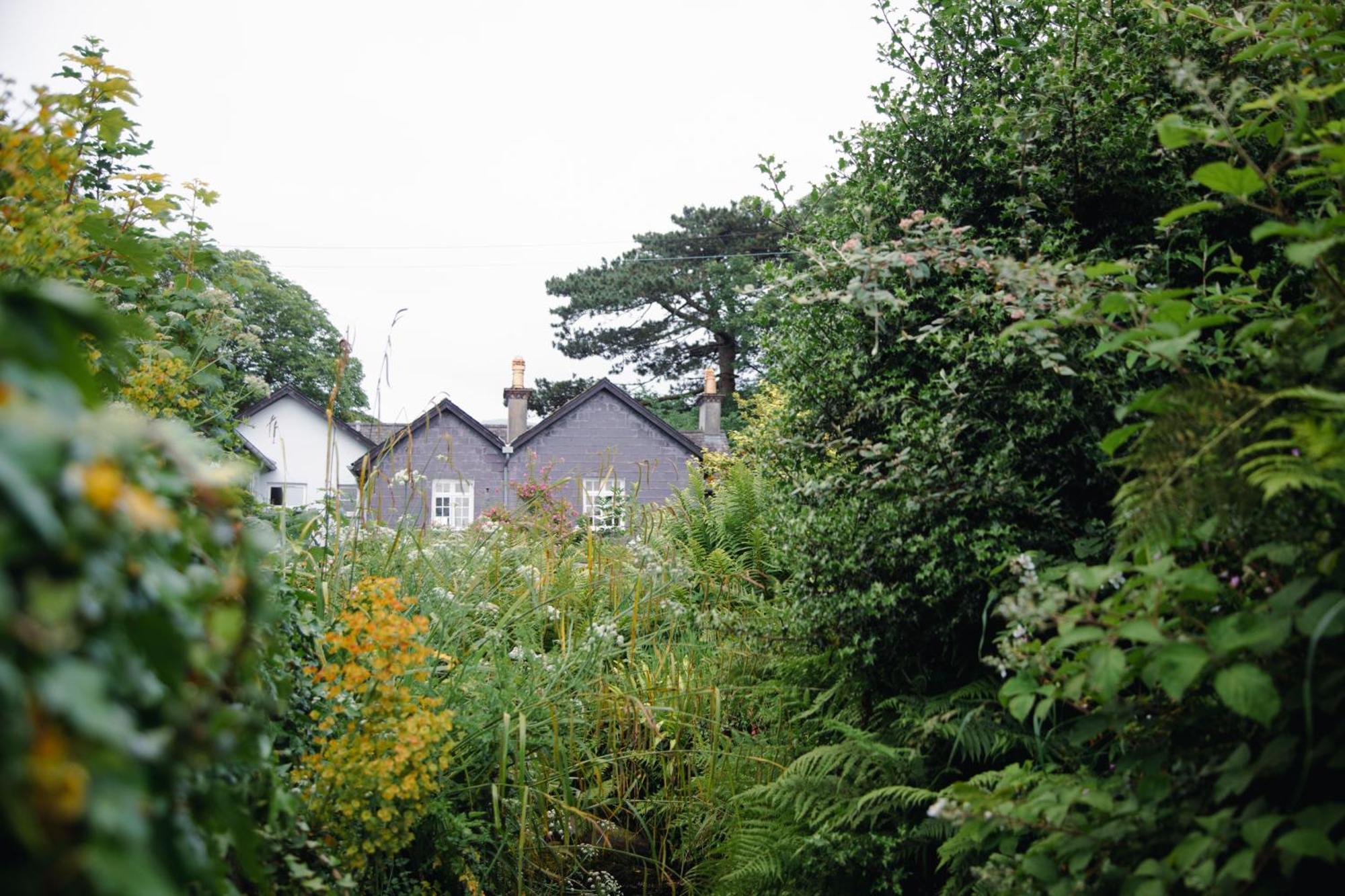 Trigonos - Quiet, Peaceful, Vegetarian B&B And Retreat Centre Nantlle 외부 사진