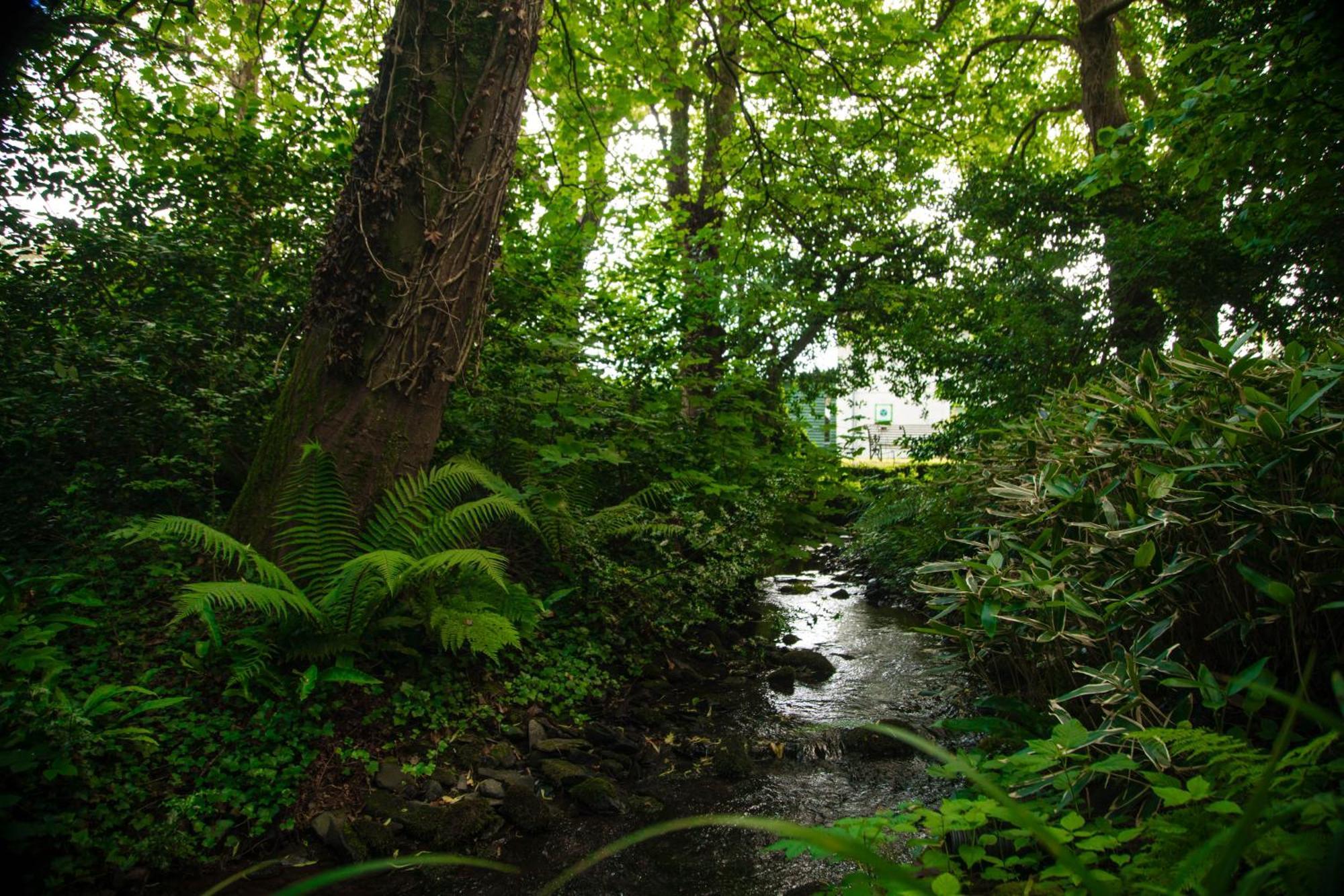 Trigonos - Quiet, Peaceful, Vegetarian B&B And Retreat Centre Nantlle 외부 사진