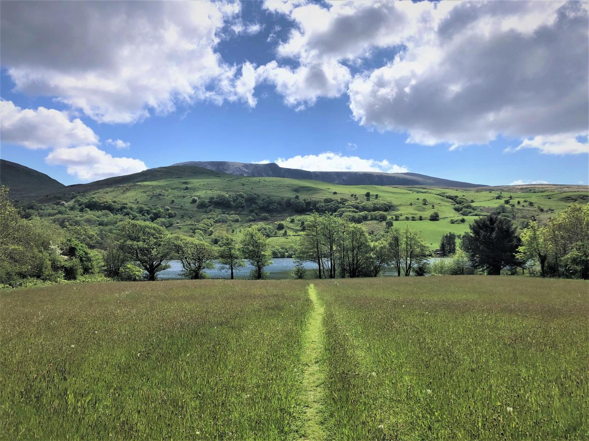 Trigonos - Quiet, Peaceful, Vegetarian B&B And Retreat Centre Nantlle 외부 사진